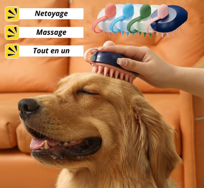 Brosse de Massage en Silicone pour Chien